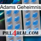 Adams Secret 23